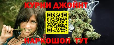 трава Новозыбков