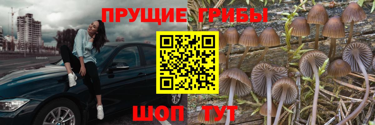 Галлюциногенные грибы мухоморы  дарнет шоп  Чернушка  Вход с VPN 